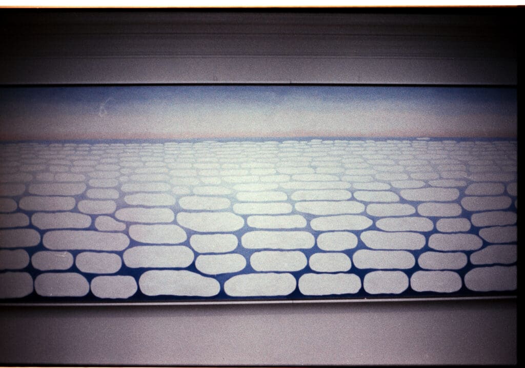 A timeless landscape of Cloud Gate in Millennium Park captured on fine-grain color film.