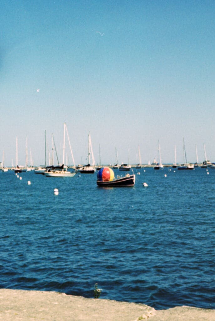 A painterly landscape of the Grant Park gardens captured on color slide film for high saturation.