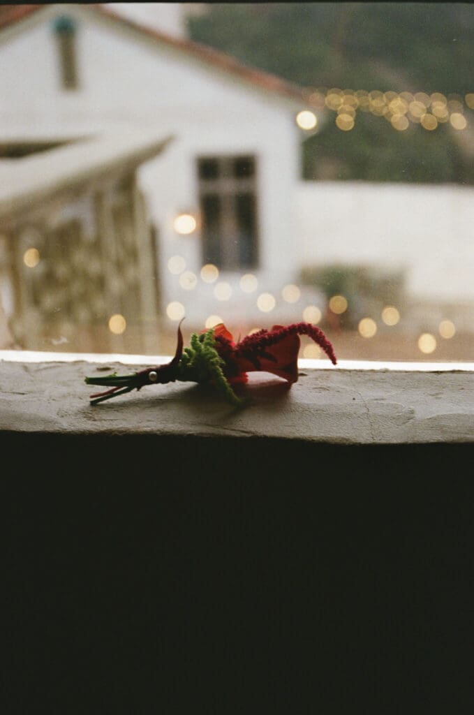 Film photograph capturing architectural texture and depth