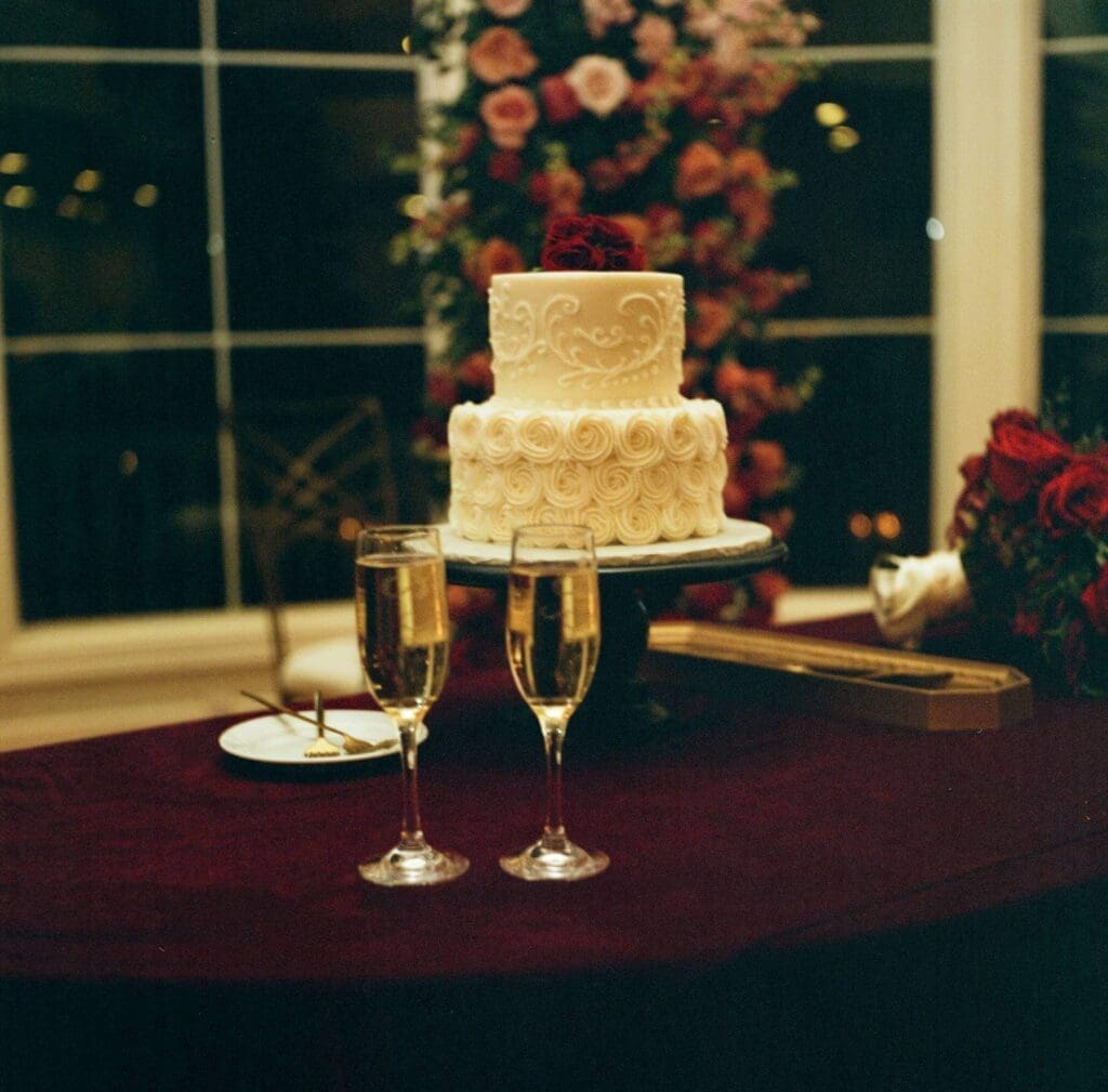 Elegant bridal portrait captured on medium format film