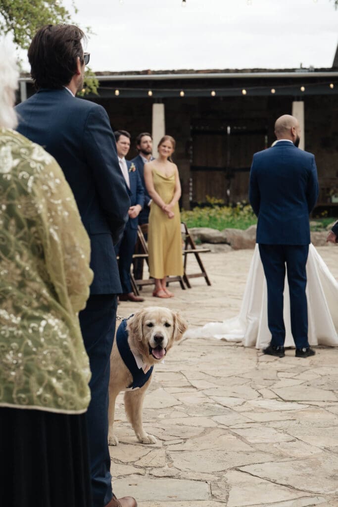 Intimate spring wedding floral inspiration with colorful reception details and fresh blooms