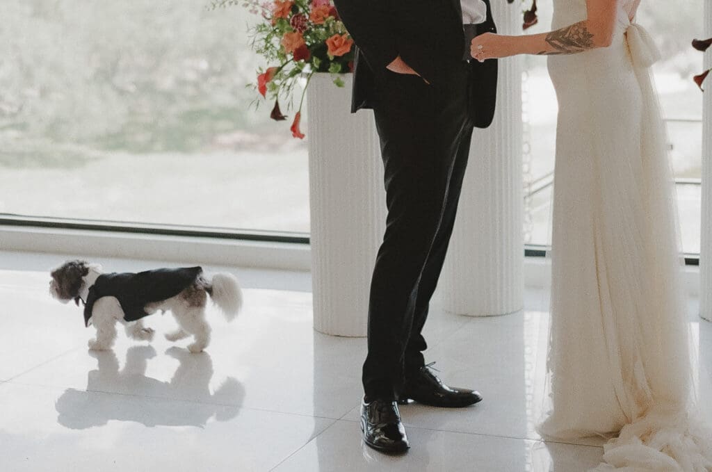 Romantic portraits from a Videre Estate wedding